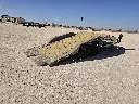 20260326_171419.webp