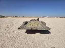 20260326_171245.webp