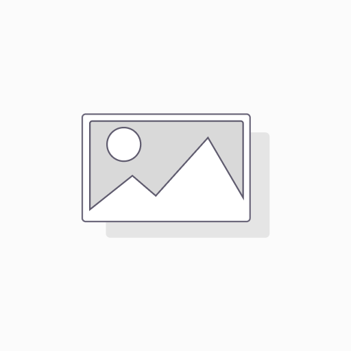 PLR1904